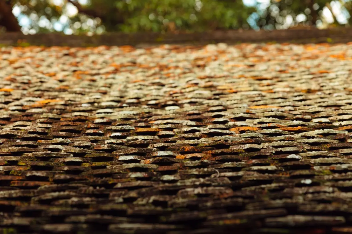 Aging shingle roof with moss growth and granule loss in Hampton, VA